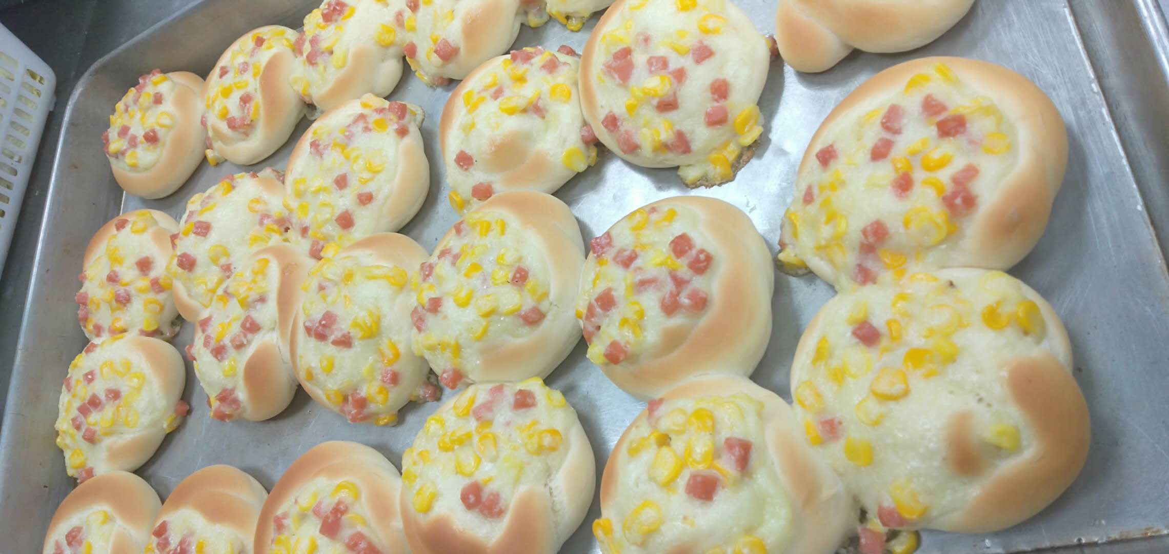 亚美网页版登录