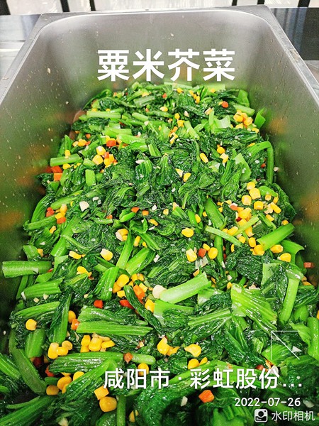 亚美网页版登录